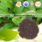 Natural Herbal Medicine Raw Material Semen Plantaginis