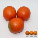 Artificial Fruit, Imitative Polyfoam Orange (OGW09-3-0901)