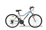 MTB Bike (24MTB1506)