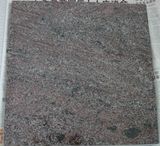 Western Style Style Multicolor Purple Granite for Tombstone & Headstone