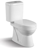 Washdown Two-Piece Toilet Closet CE-T192