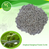 Dehydrated White Pepper Seed