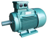 Y2E Series Premium Energy Efficient Cast-iron Three-Phase Asynchronous Induction Motor(H63-355)