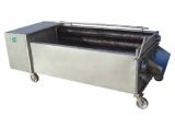 Fruit Vegetable Washing and Cleaning Machine