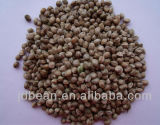 2013 Chinese New Crop Hemp Seeds