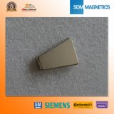 Huge Magntic Permanent Rare Earth Neodymium Magnet