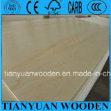 Furniture Grade Pine Plywood/Commercial Plywood