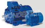 Wy (IE1) Three Phase Standard Efficiency Induction Cast Iron Motors