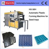 Thermoforming Equipment (HX-56H)