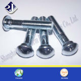 Track Bolt with Galvanizing