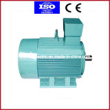 Series 3 Phase Induction Motor
