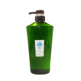 Healthy Seaweed Body Wash (BW-003)