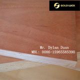 Various Grade Bintangor Decorative Plywood