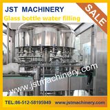 Glass Bottle Mineral Water Plant / Machinery / Equipment