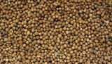 Coriander Seeds