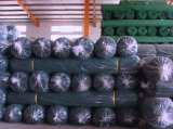 HDPE Scaffolding Net with Green