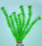 Aquarium Plant (2947)