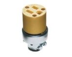 Socket American Standard