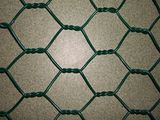 Hexagonal Wire Mesh
