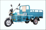 Cargo Tricycle (SP125-P13)