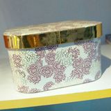 Paper Gift Box with Special Cover