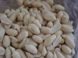 Blanched Delicious Edible Peanuts