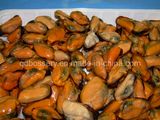 Frozen Mussel Meat