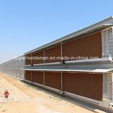 Modern 2-Floor Steel Chicken House Construction