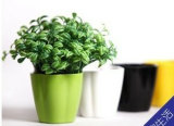 Flower/Plant Pot/Bamboo Fiber/Plant Fiber/Vase/Garden/Promotional Gifts/Home Decoration/Garden Decorations/Natural Bamboo Fiber Biodegradable Pots (ZC-F20011L)