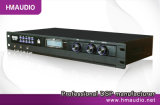 Prefessional Audio Products (DSP-900+)