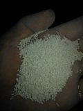 DCP Dicalcium Phosphate Feed Grade