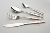 Stainless Steel Fork (CY-SF0043)