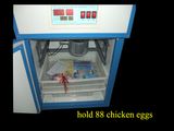 Small Automatic Egg Incubator