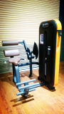Factory Directly Selling / Fitness Equipment/Ld-8002 Leg Extension