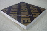 Shuttering Film Faced Plywood with Logo