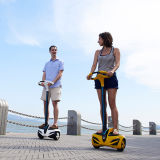 The Latest Personal Vehicle, Self Balance Scooter, Electric Chariot, Electric Scooter (INMOTION R1)