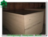 Competitive Price Commercial Film Faced Plywood for Sale