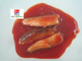 Canned Sardine in Tomato Sauce