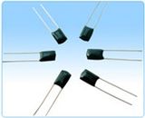 Mylar Capacitors Cl11