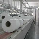 100% Spun Polyester Yarn