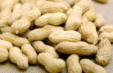 Hot Selling Raw Peanut in Shell with Good Quality