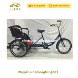 Sh-T123 Tricycle with Baby Seat