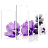 Purple Flower Oil Painting for Home Decoration on Canvas (FL4-103)