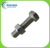 Nut with Bolt
