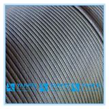 Steel Wire Rope