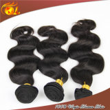 Fast Delivery Body Wave Brazilian Human Braiding Hair