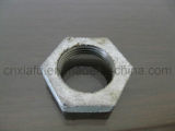 Malleable Casting HDPE Pipe Fitting Back Nut