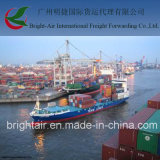 Sea Freight From China to Paysanou, Uruguay