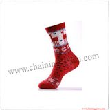 Hot Selling Winter Socks for Men