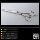 Elegant Dragon Engraved Tattoo Hair Scissors (YB-60)